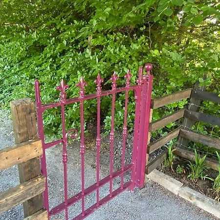 Harrys Place مولينجار