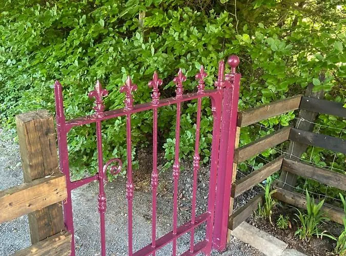 Harrys Place Mullingar